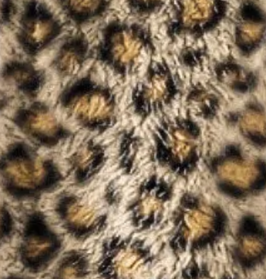 TeddyPaws™ Limited Edition Leopard Print