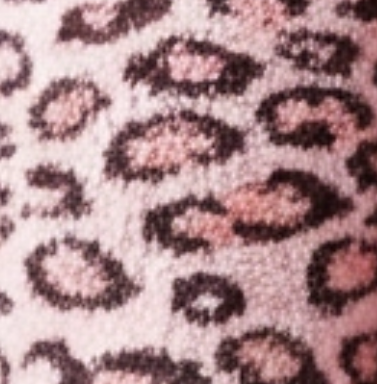 TeddyPaws™ Limited Edition Leopard Print